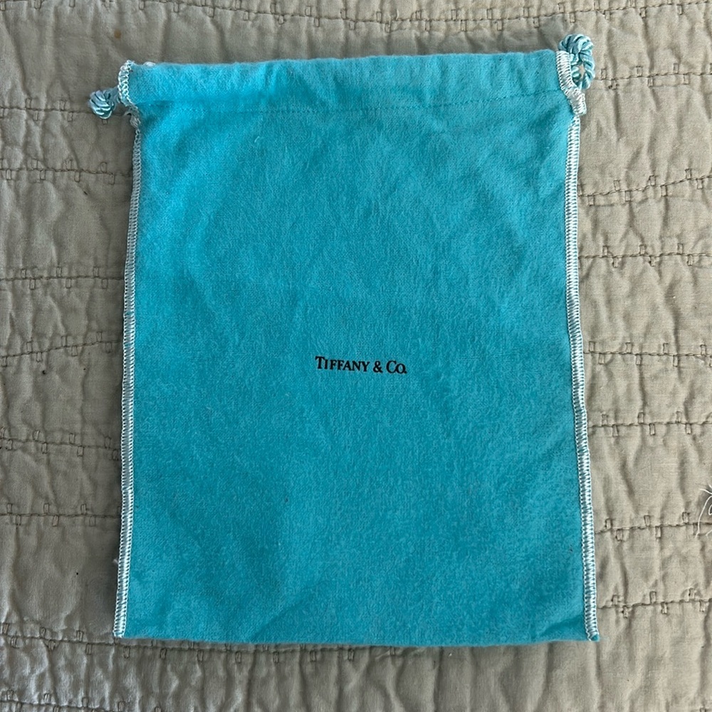 Tiffany & Co. Signature Color Pouch Gift Bag Pre owned